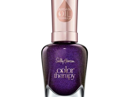 SALLY HANSEN - Color Therapy Nail Polish, Slicks and Stones - 0.5 fl. oz. (15 ml) on Sale